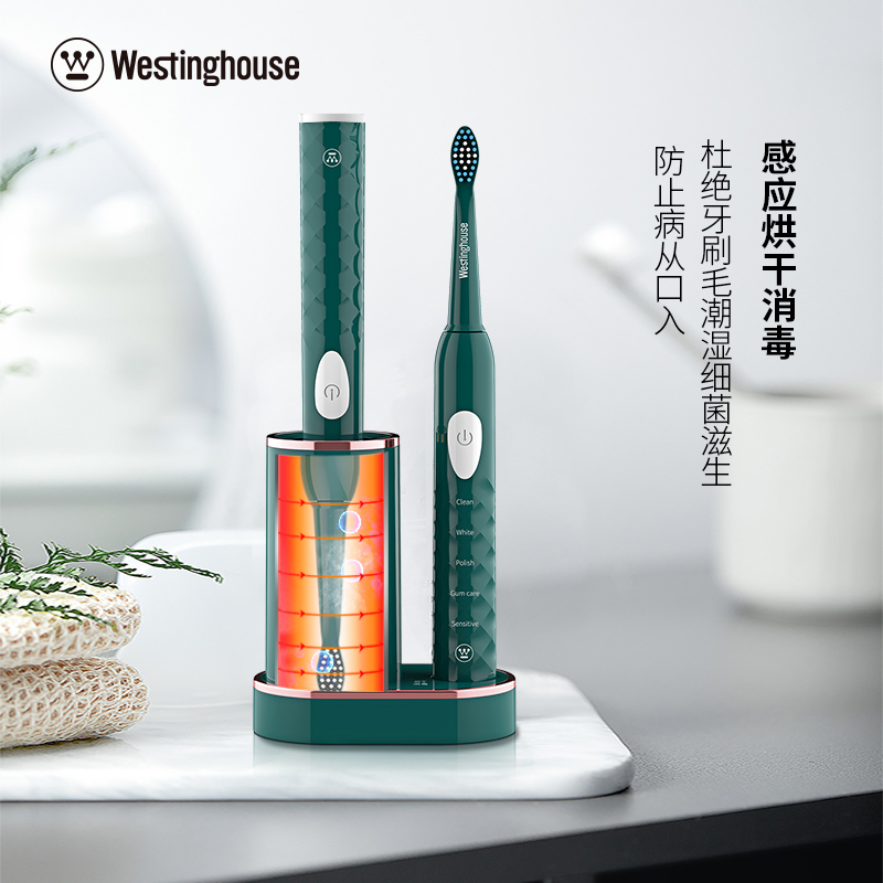 WL-YS2202 声波电动牙刷