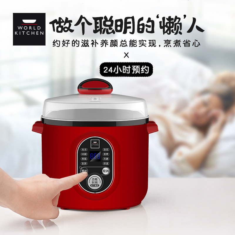 WK-MES/KZ 多功能电炖盅