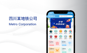 四川地铁项目案例