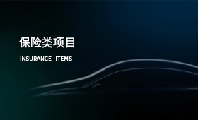 保险类项目案例