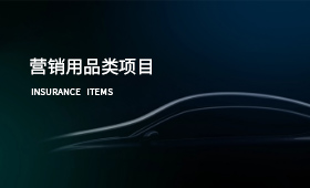 营销用品类项目案例