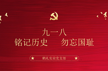 我司党支部召开“九·一八 铭记历史 勿忘国耻”专题座谈会